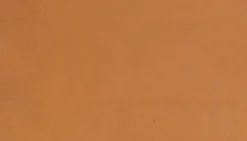 Jérôme Dreyfuss Bandoulière sangle naturelle large| Straps